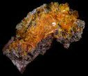 Bright Orange Wulfenite Cluster - Rowley Mine, AZ #34891-2